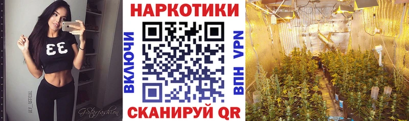 Купить закладку Cocaine  A PVP  МДМА  МАРИХУАНА  Меф  ГАШИШ  Коряжма