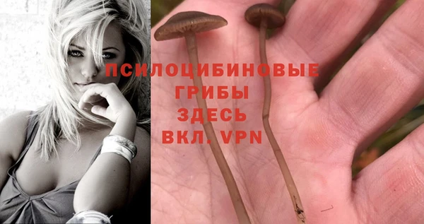 кокаин премиум Гусиноозёрск