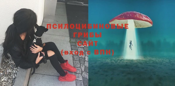 кокаин премиум Гусиноозёрск