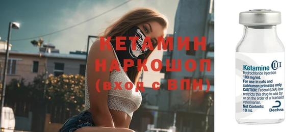 твердый Гусев