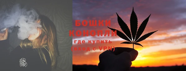 твердый Гусев