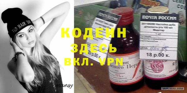 твердый Гусев