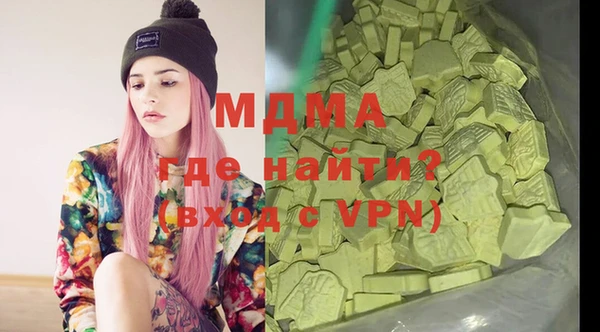 твердый Гусев