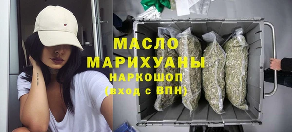 твердый Гусев