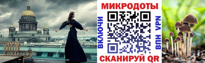 Псилоцибиновые грибы Psilocybe  Купить  Коряжма 